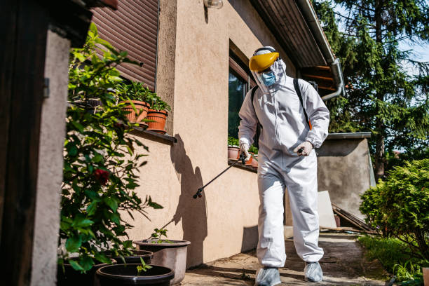 Best Pest Prevention Services  in Carlin, NV