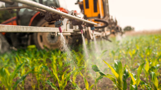 Best Pest Removal Services  in Carlin, NV
